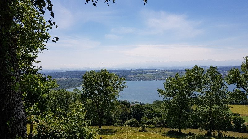 Mont Vully