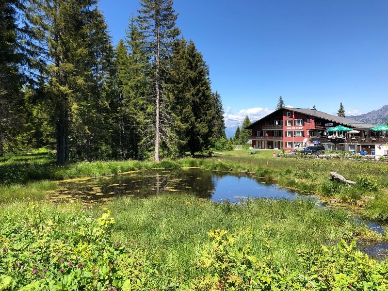 Moor Brambrüesch