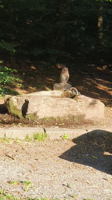 Tägernau