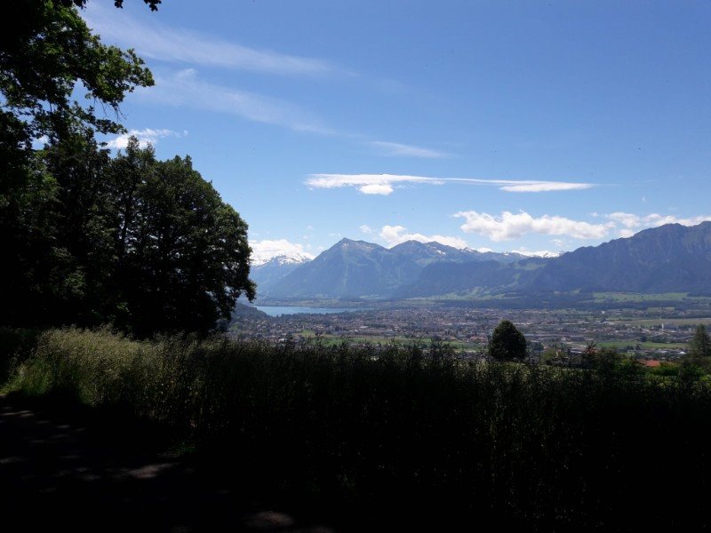 Oberer Riederenweg 16, 3612 Steffisburg, Schweiz