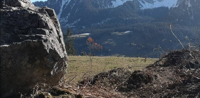 Tanzboden, Därstetten