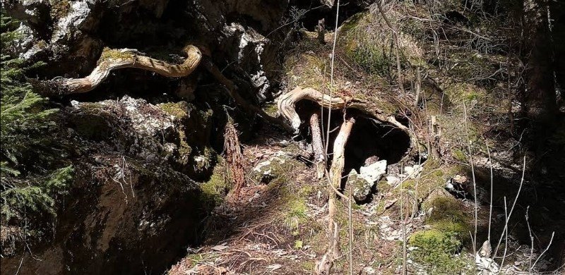 Tanzboden, Därstetten