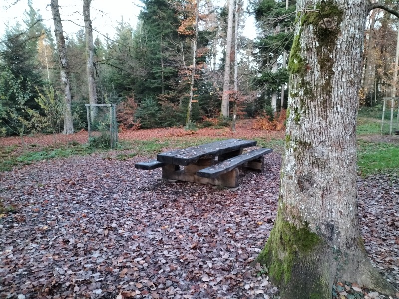 Forsthaus Orpund
