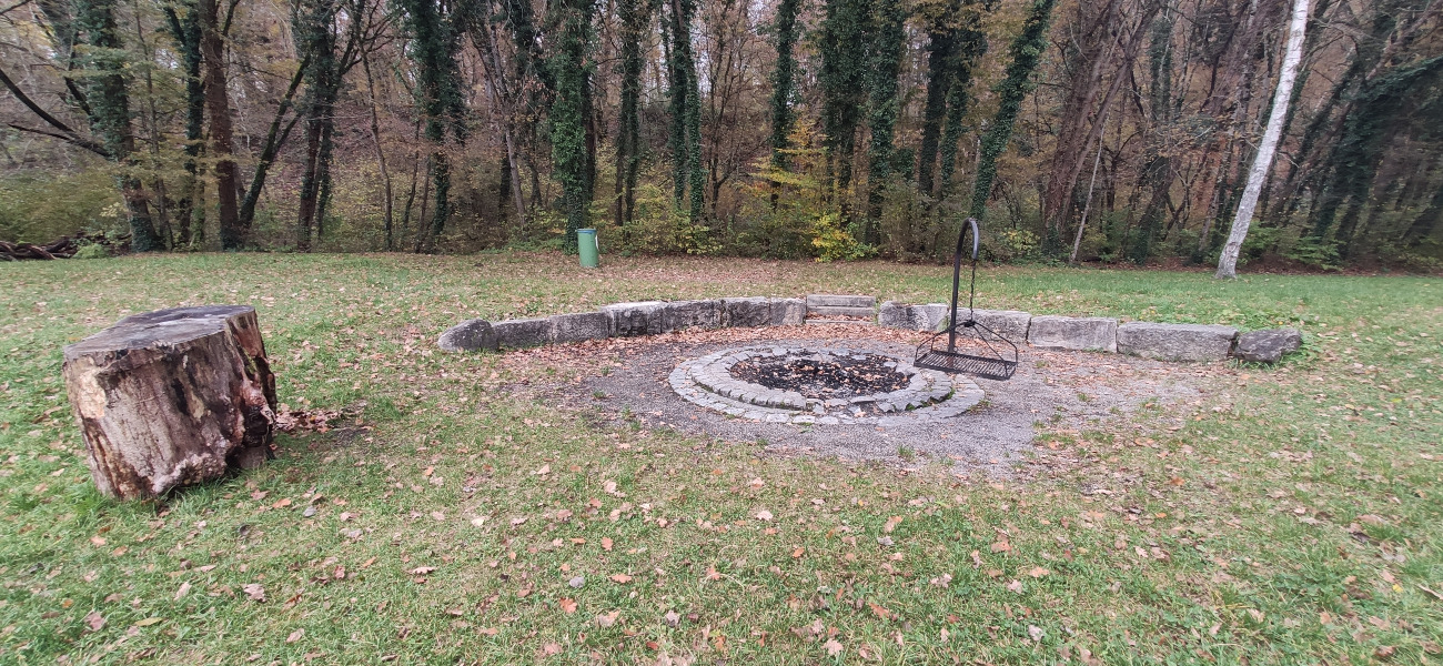 Uferwiese Giesse III