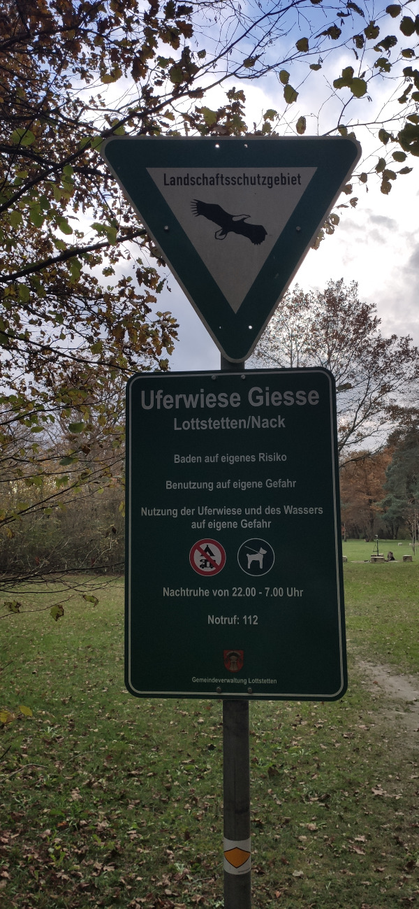 Uferwiese Giesse III