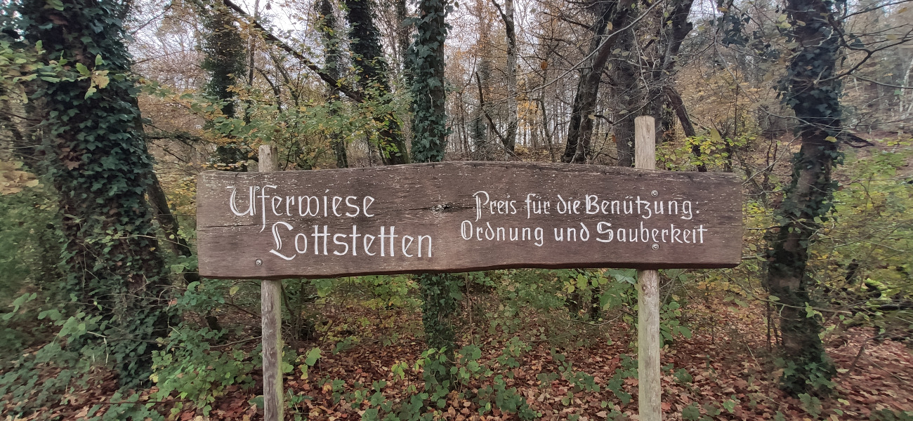 Uferwiese Giesse I