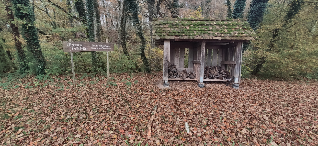 Uferwiese Giesse I