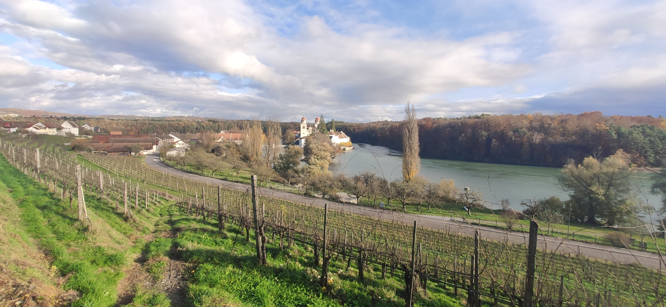 Aussichtspunkt Rheinau