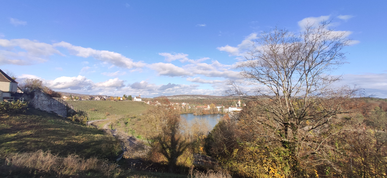 Aussichtspunkt Rheinau