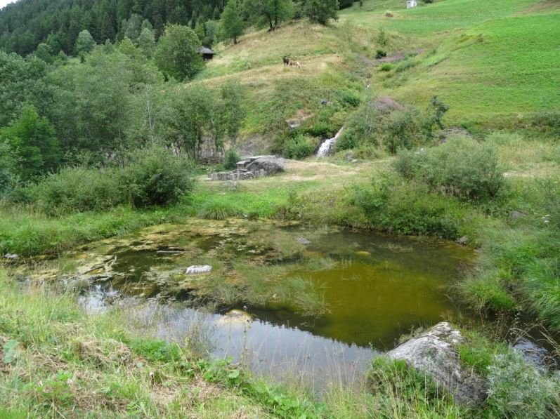 Froschteich, Binn