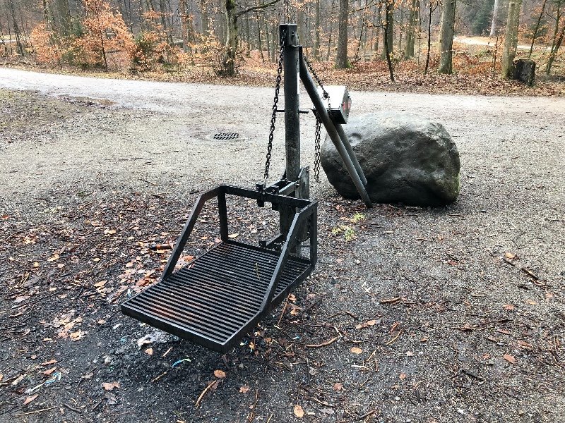 Moosholzweiher