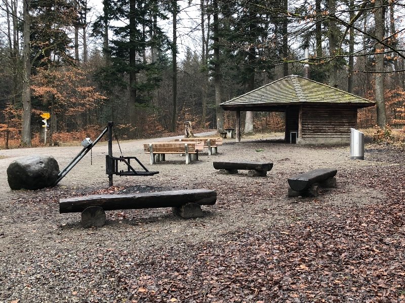 Moosholzweiher
