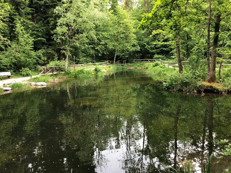 Moosholzweiher