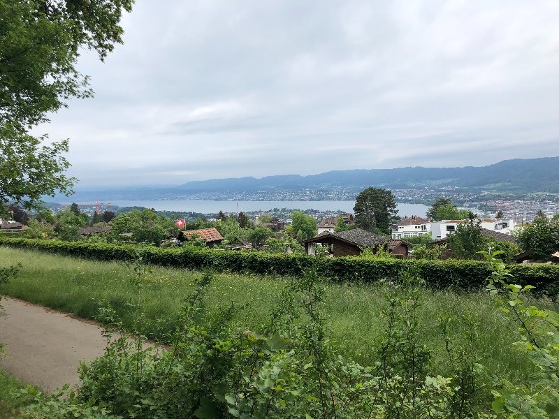 Orelliweg, 8044 Zürich, Schweiz