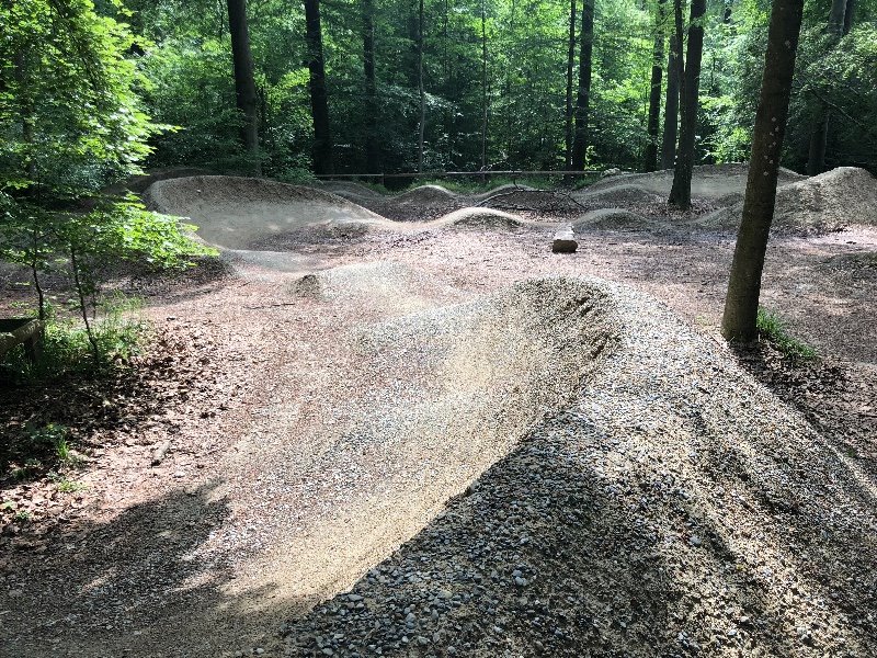 Pumptrack Zürichberg