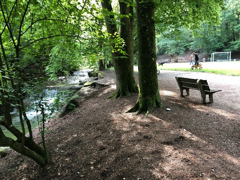 Mühlebödeli / Burgwies