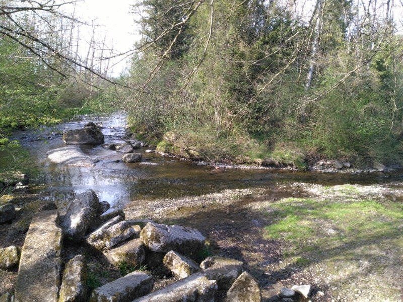 Wydenchlösterli