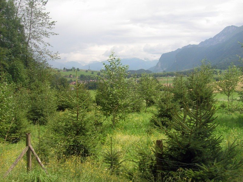 Schatthütte